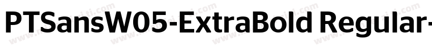 PTSansW05-ExtraBold Regular字体转换